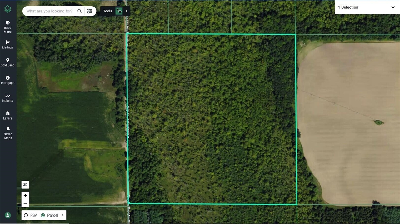 Peoples Road Blanchard, MI 49310 - Photo 23 of 26