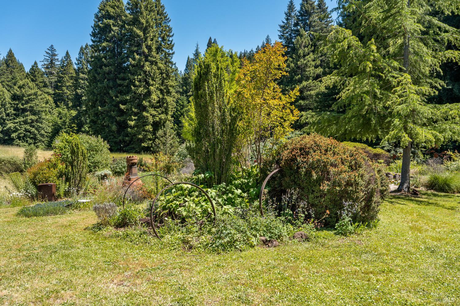 31501 Comptche Ukiah Road Comptche, CA 95427 - Photo 43 of 85 Garden