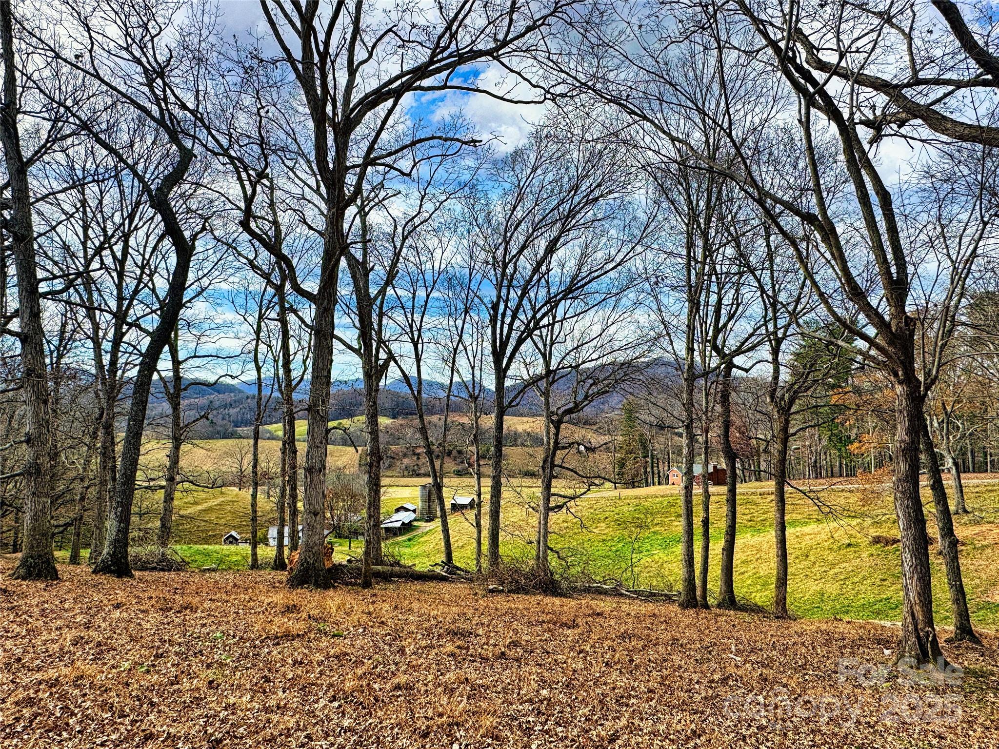 a view of street with trees