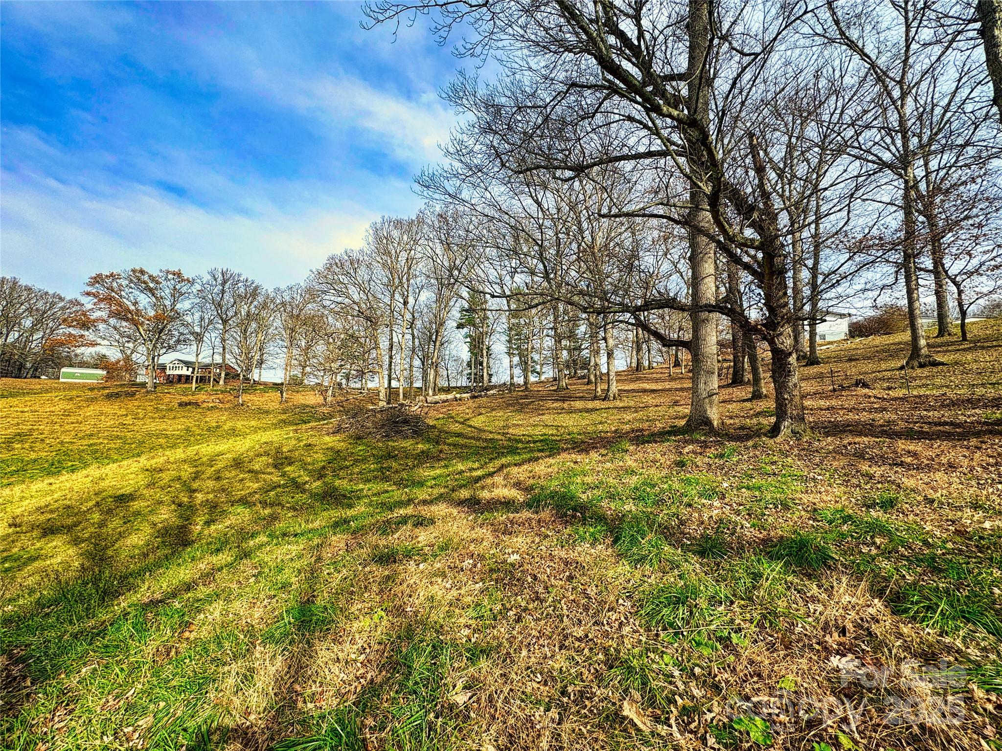 99999 Old Newfound Road Leicester, NC 28748 - Photo 3 of 3 a view of road with large trees