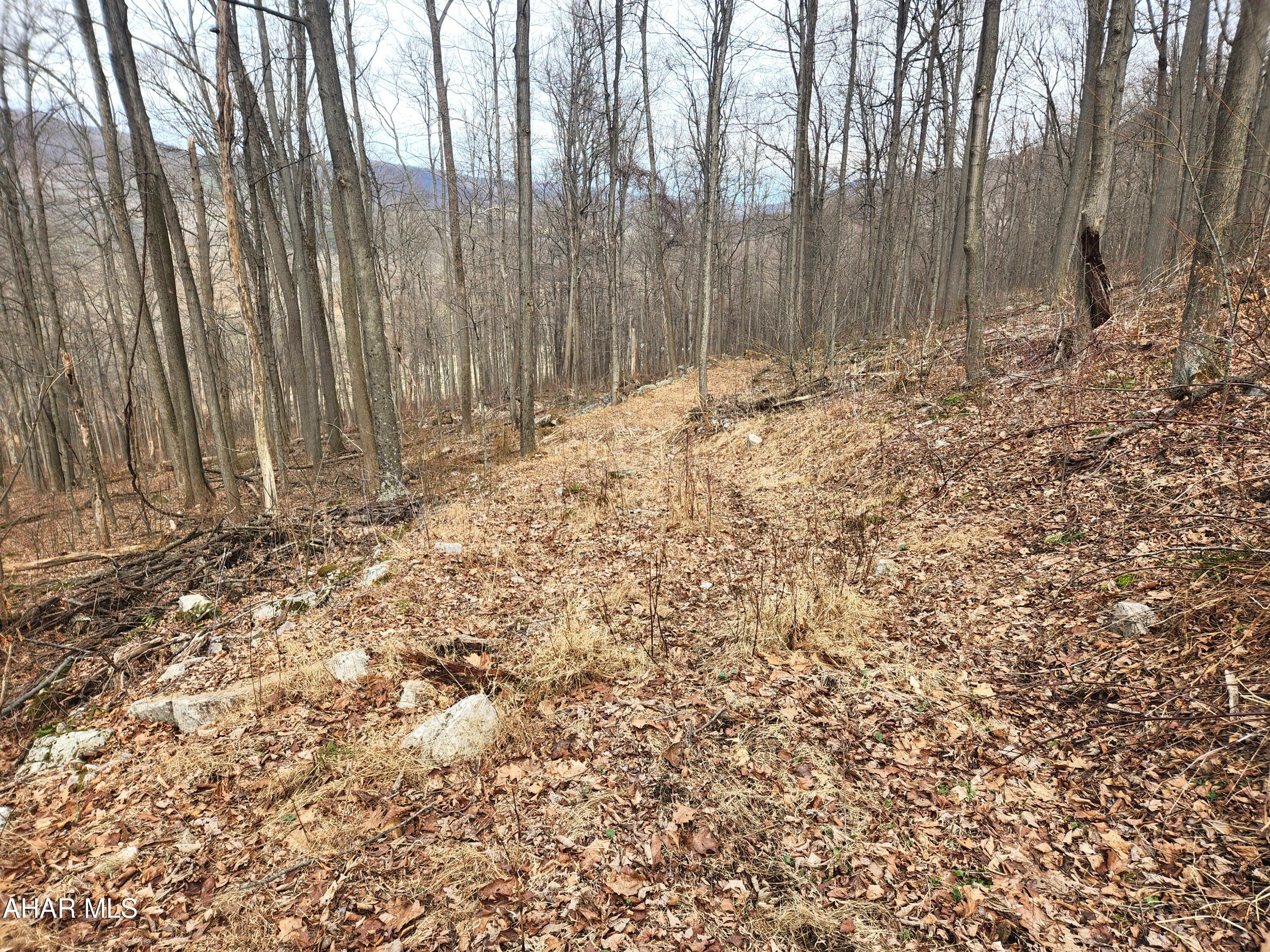 303 Wake Road Buffalo Mills, PA 15534 - Photo 22 of 31