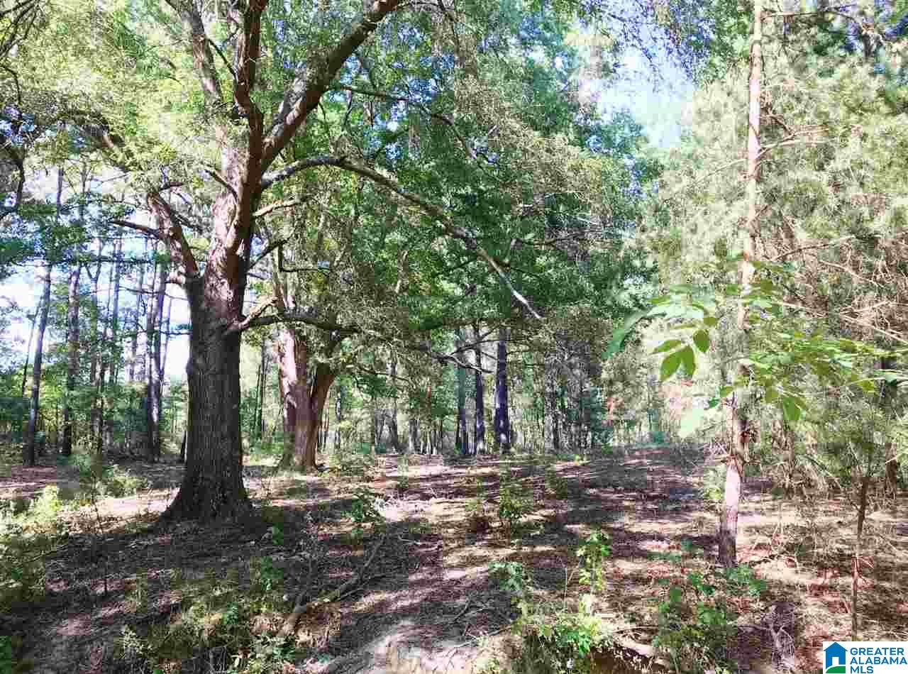 1525 Chelsea Road, Unit 1525 Columbiana, AL 35051 - Photo 18 of 33