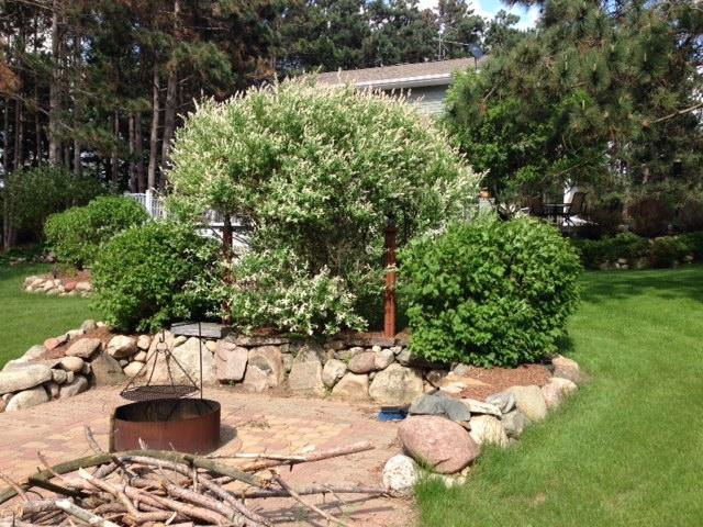 22603 Fable Road St. Augusta, MN 56301 - Photo 47 of 57