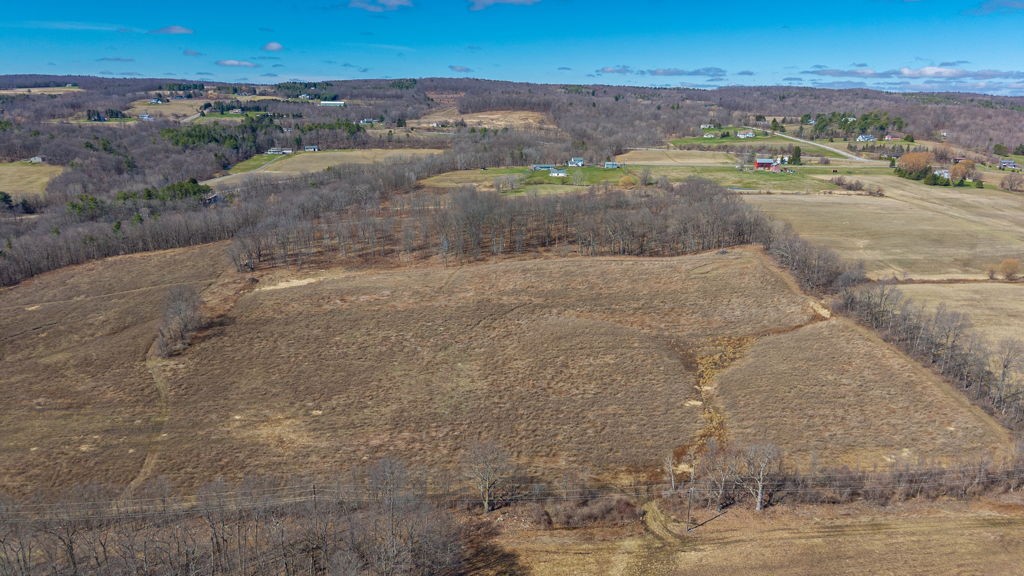 4765 Seneca Point Road Canandaigua Town, NY 14424 - Photo 34 of 50