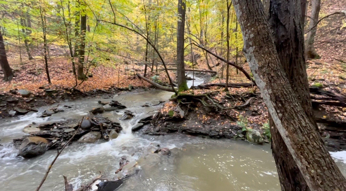 4765 Seneca Point Road Canandaigua Town, NY 14424 - Photo 4 of 50