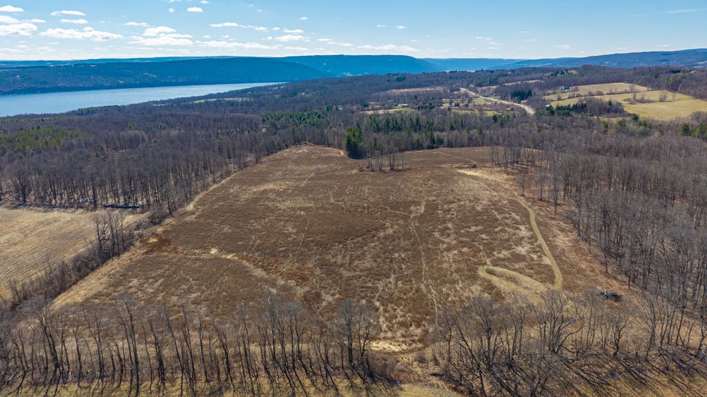 4765 Seneca Point Road Canandaigua Town, NY 14424 - Photo 41 of 50
