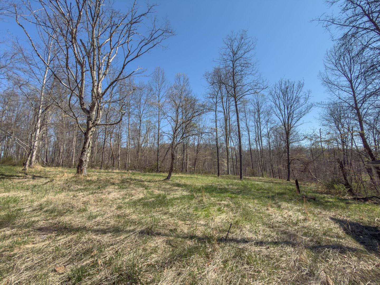 0 Cox Road Logan, OH 43138 - Photo 25 of 50 IMG_1479