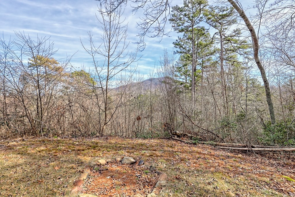 87 Mason Lane Marble, NC 28905 - Photo 60 of 66 a view of a dry yard with trees