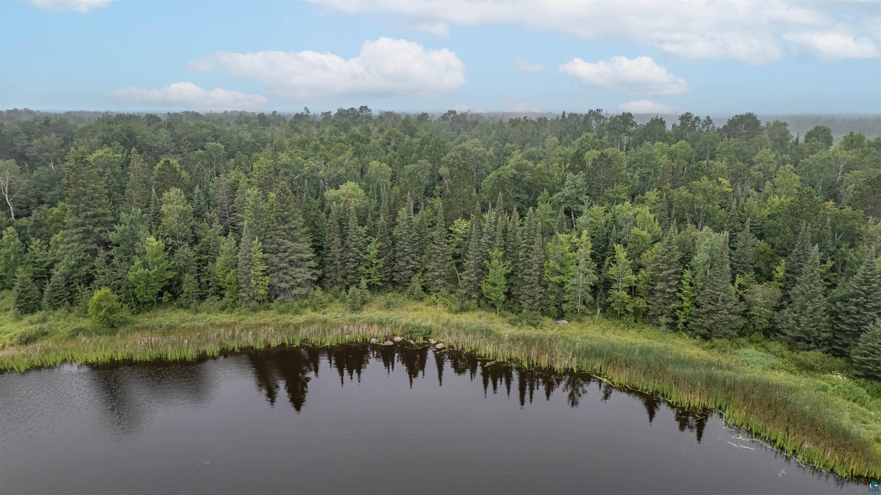 Aerial view of a nearby body of water and a forest