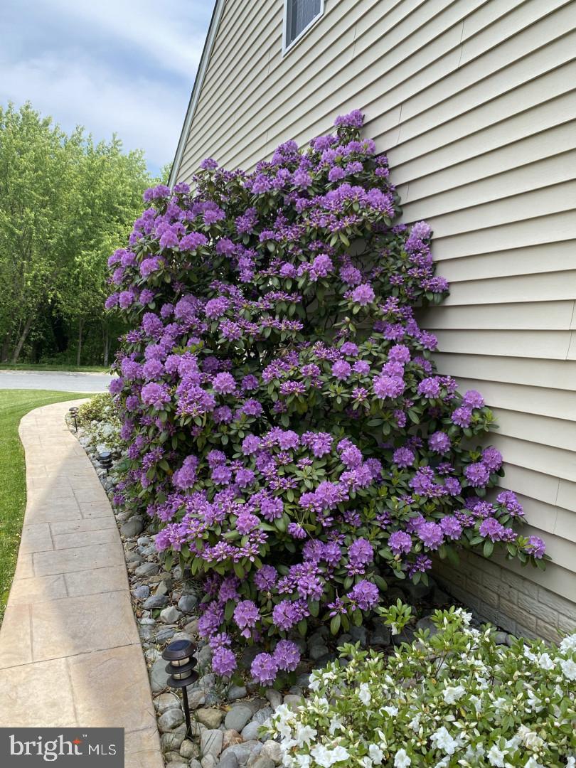 161 Riverview Trail Eldersburg, MD 21784 - Photo 121 of 124