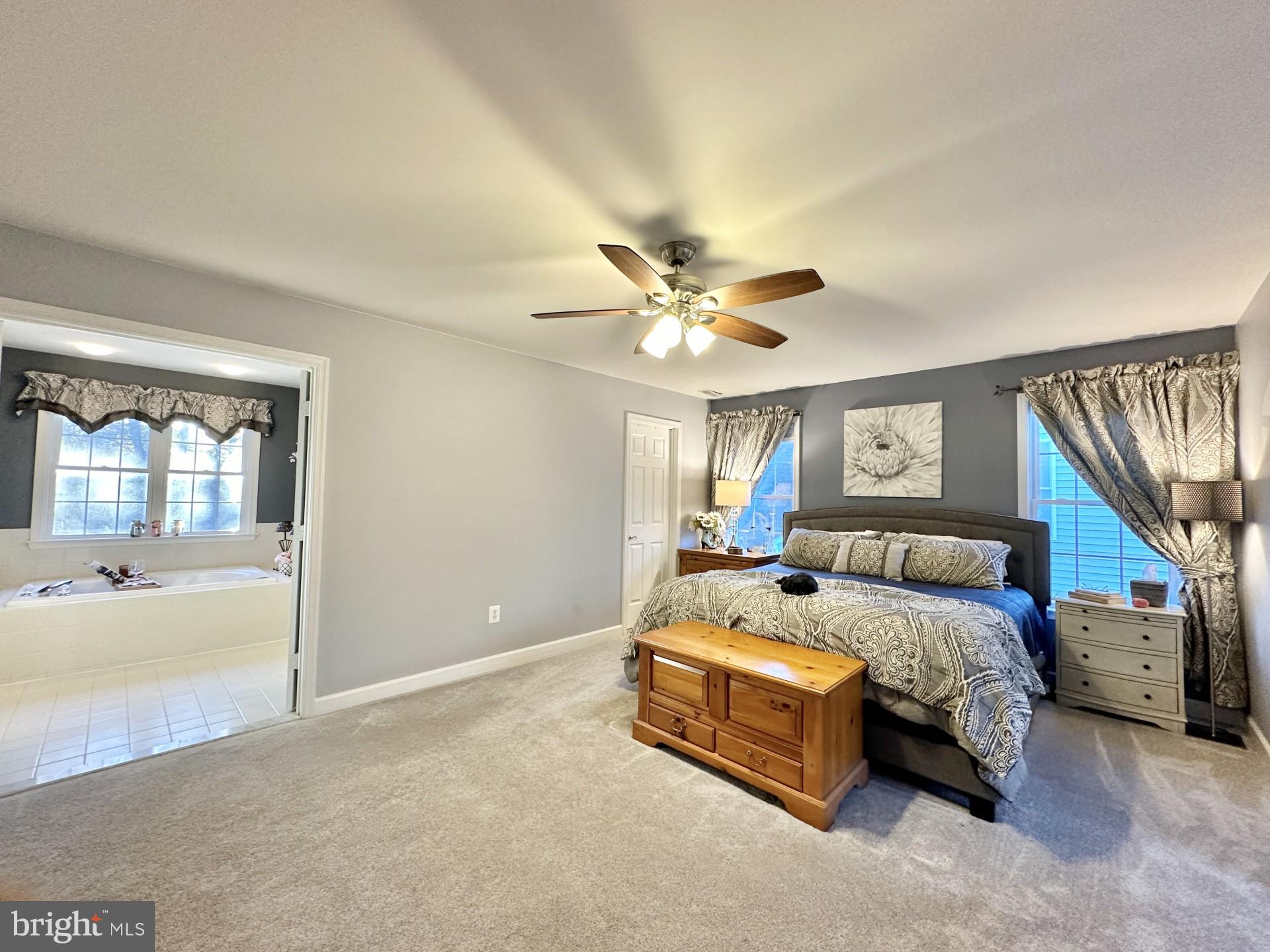 161 Riverview Trail Eldersburg, MD 21784 - Photo 62 of 124