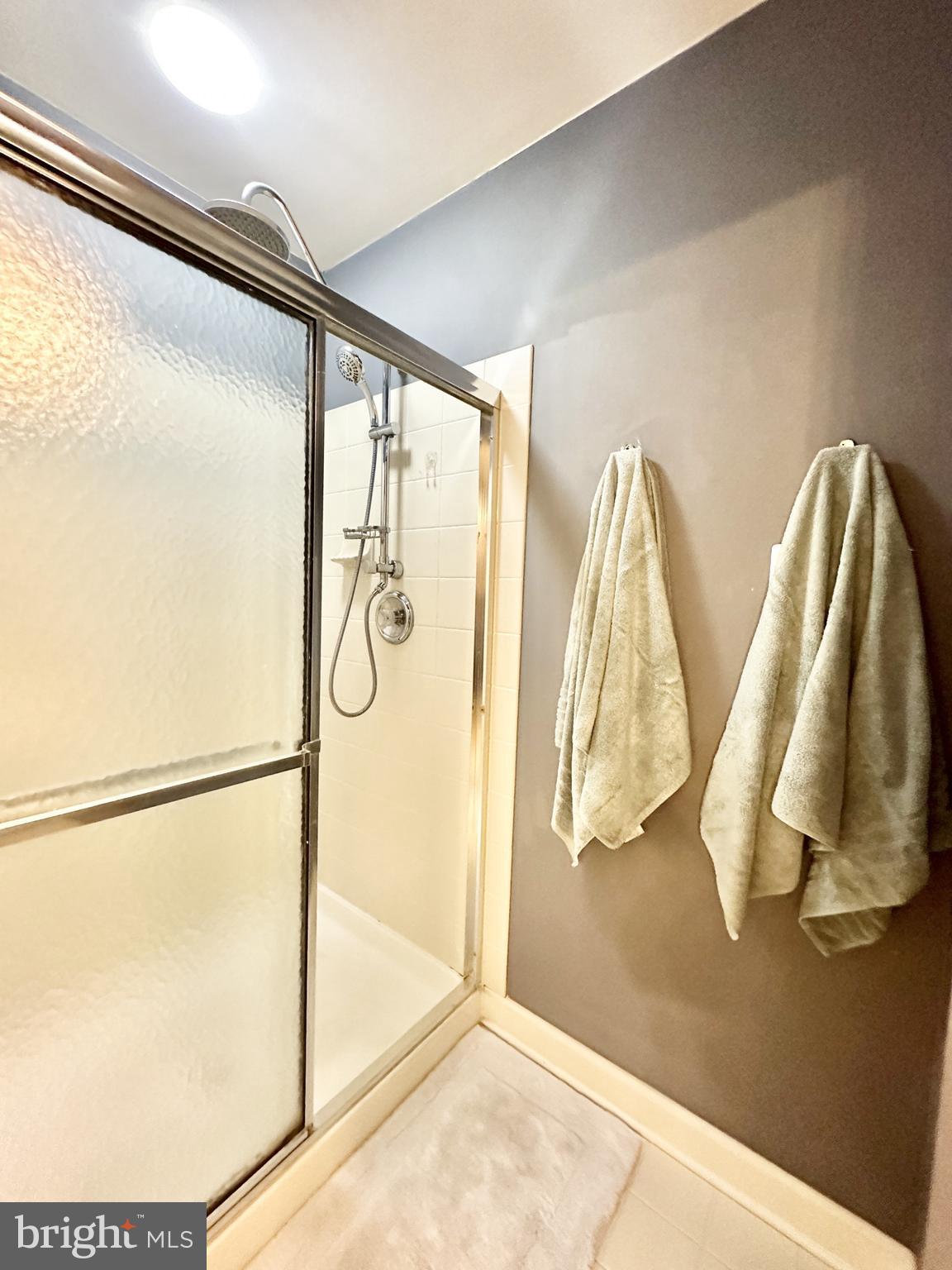 161 Riverview Trail Eldersburg, MD 21784 - Photo 75 of 124