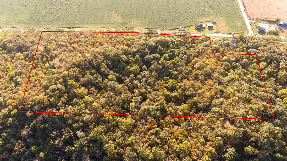 26.47-ac Painter Road Pacific Junction, IA 51561 - Photo 8 of 9 Gallery Image 8