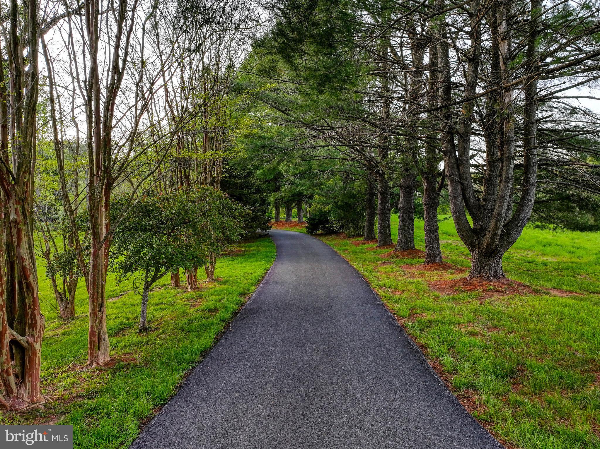 1111 Corbett Road Monkton, MD 21111 - Photo 33 of 33 a view of a park with large trees