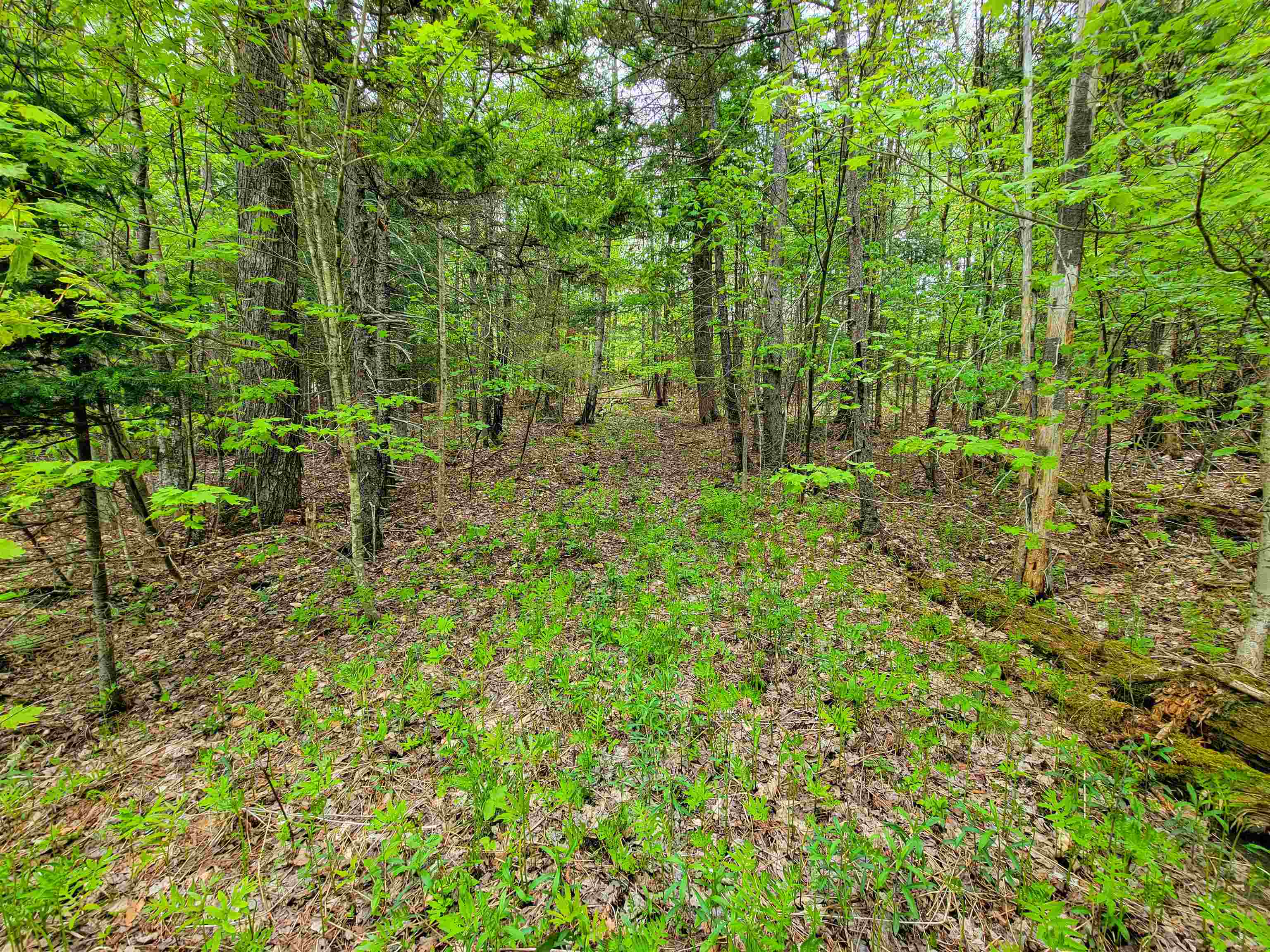 720 Brookview Lane Wolcott, VT 05680 - Photo 32 of 48