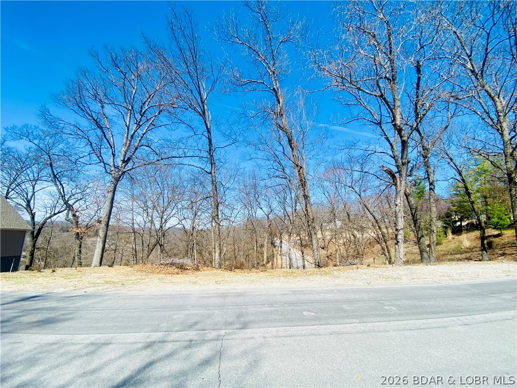 1004 South Beacon Ridge Lake Ozark, MO 65049 - Photo 3 of 11 Lot 41 Beacon Ridge