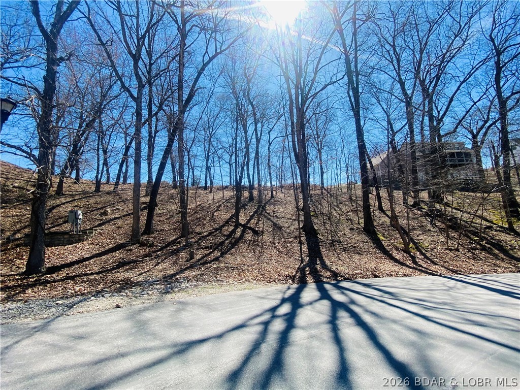 1004 South Beacon Ridge Lake Ozark, MO 65049 - Photo 4 of 11 152' Deep