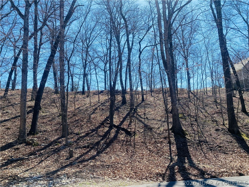 1004 South Beacon Ridge Lake Ozark, MO 65049 - Photo 5 of 11 Backside of lot