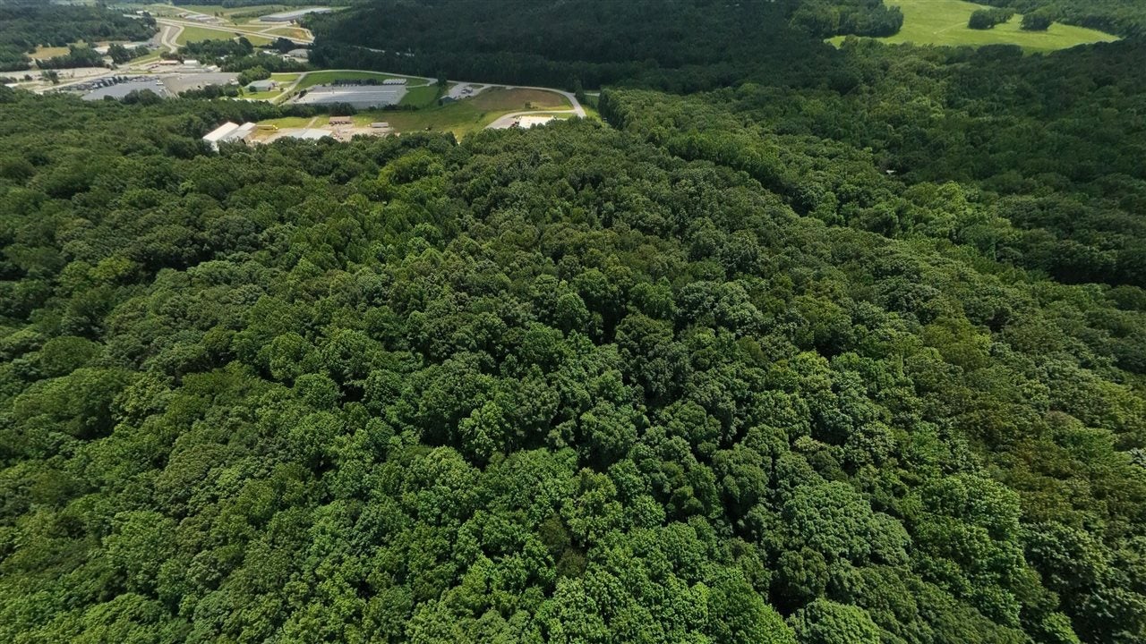 457 Pitcher Road South Morgantown, KY 42261 - Photo 14 of 20 Gallery Image 14