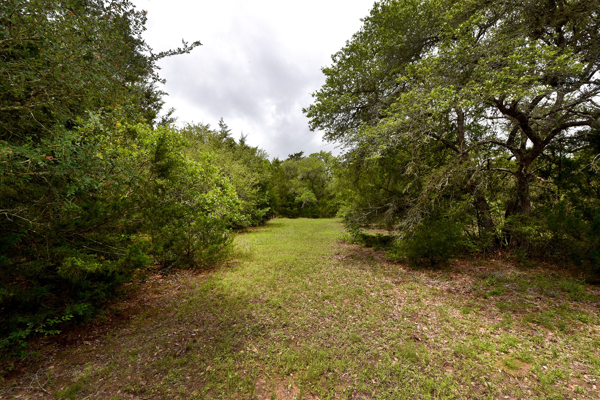 10 East Frontage Road Weimar, TX 78962 - Photo 17 of 30 a view of a yard with plants and large trees