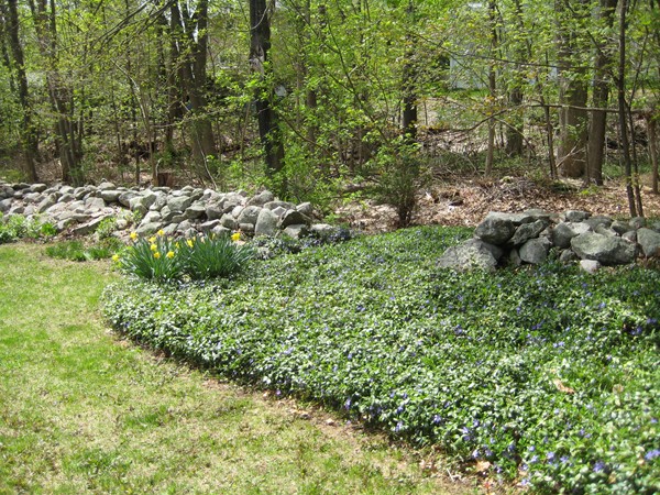 41 Stoneleigh Road Worcester, MA 01606 - Photo 21 of 25 Gallery Image 21