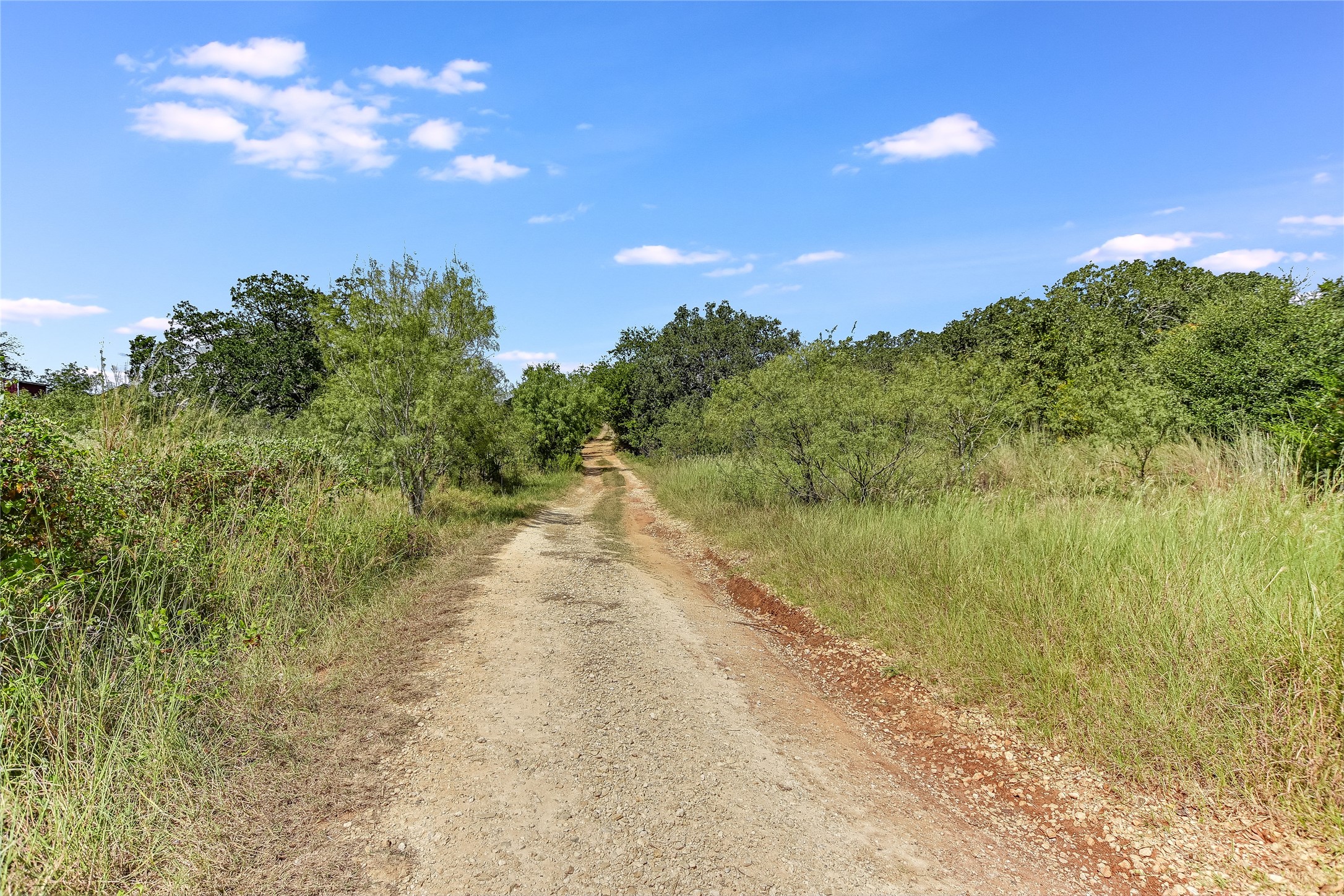 741 Knobbs Road McDade, TX 78650 - Photo 29 of 38 A private driveway guides through verdant foliage to a serene, secluded property.