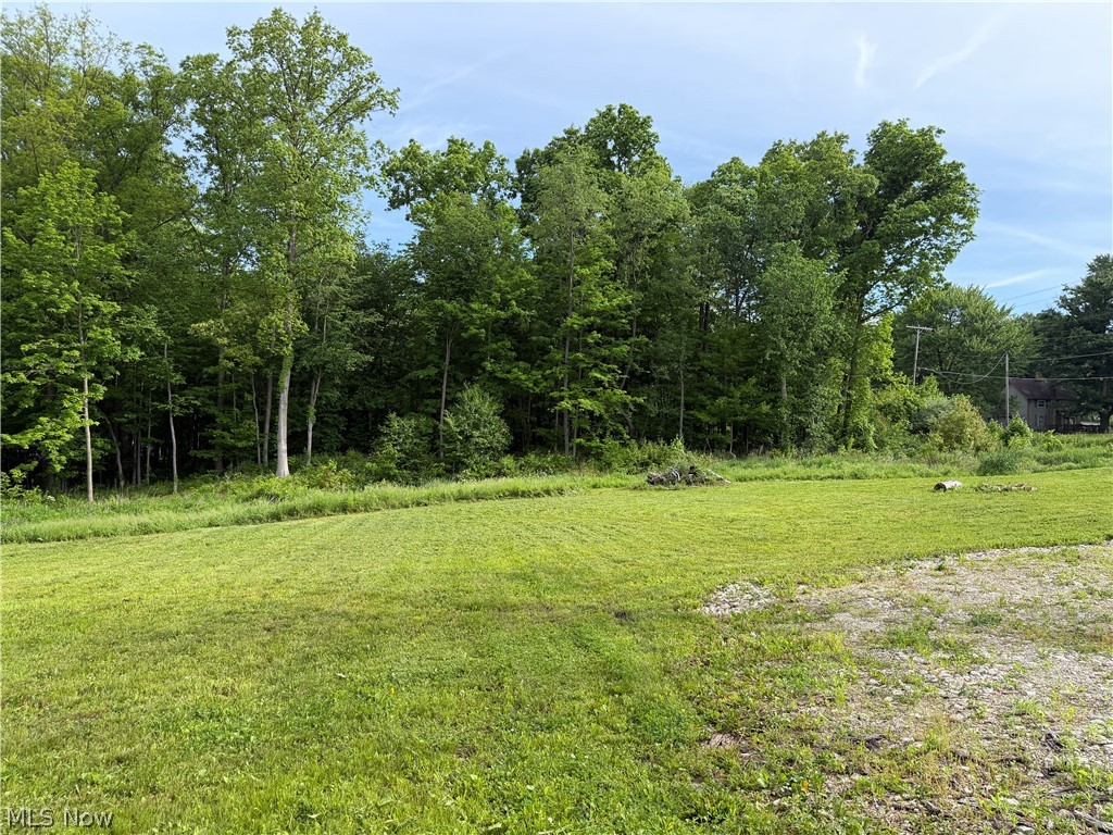 9322 Wadsworth Road Marshallville, OH 44645 - Photo 2 of 9