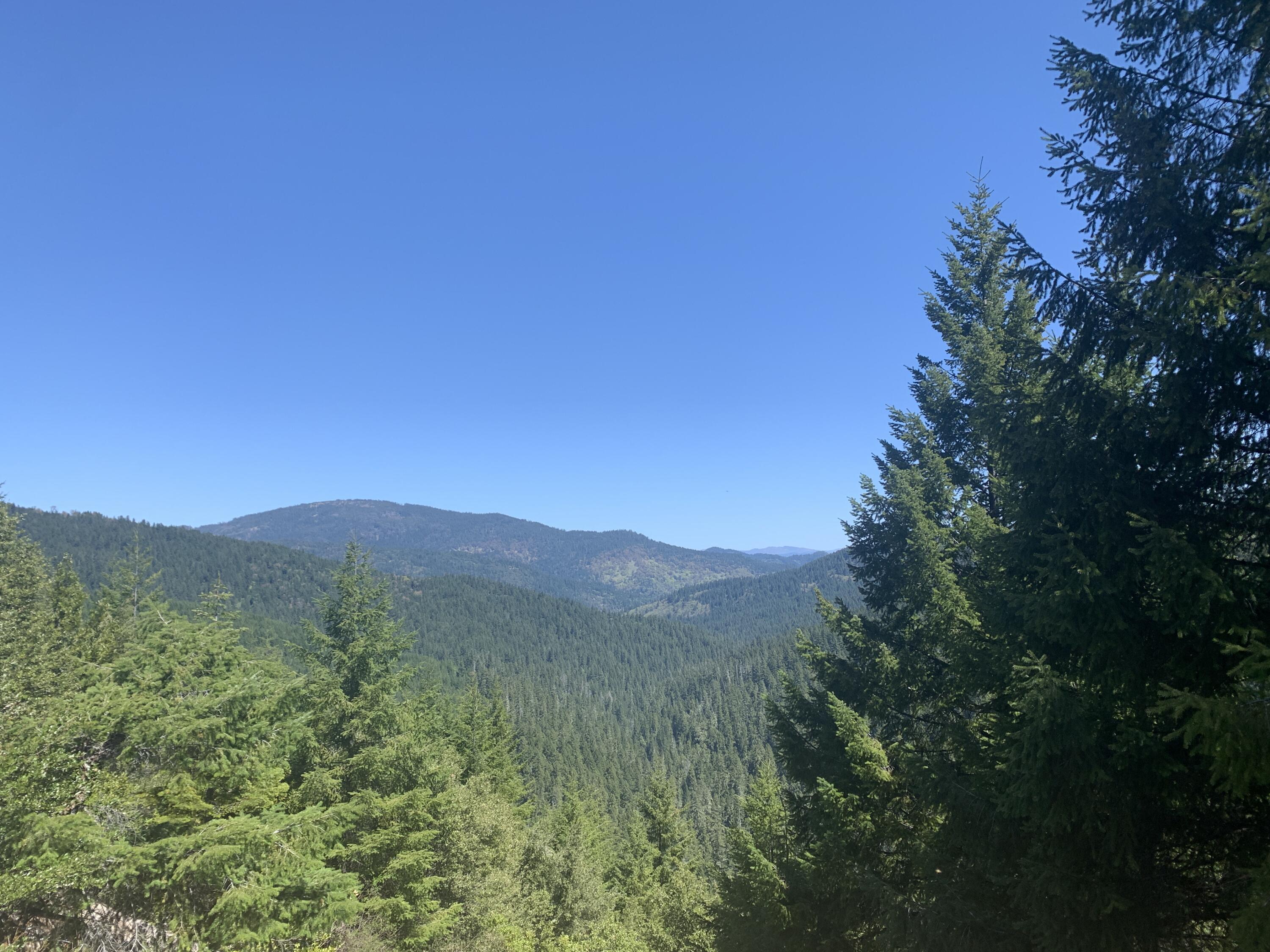 19265 Usfs Rte 1 Korbel, CA 95550 - Photo 12 of 23