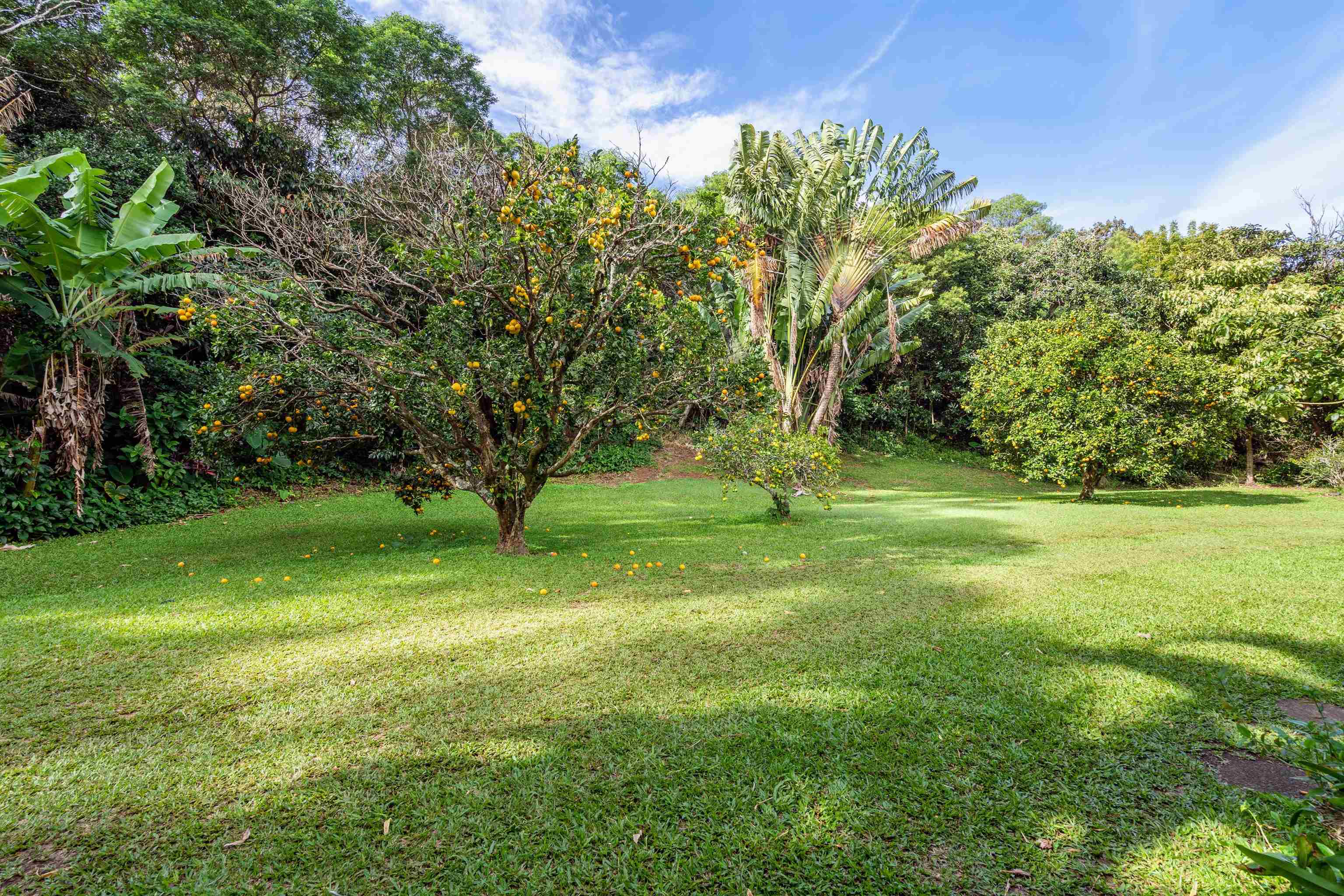 1870 West Kuiaha Road Haiku, HI 96708 - Photo 21 of 27 a view of yard with green space