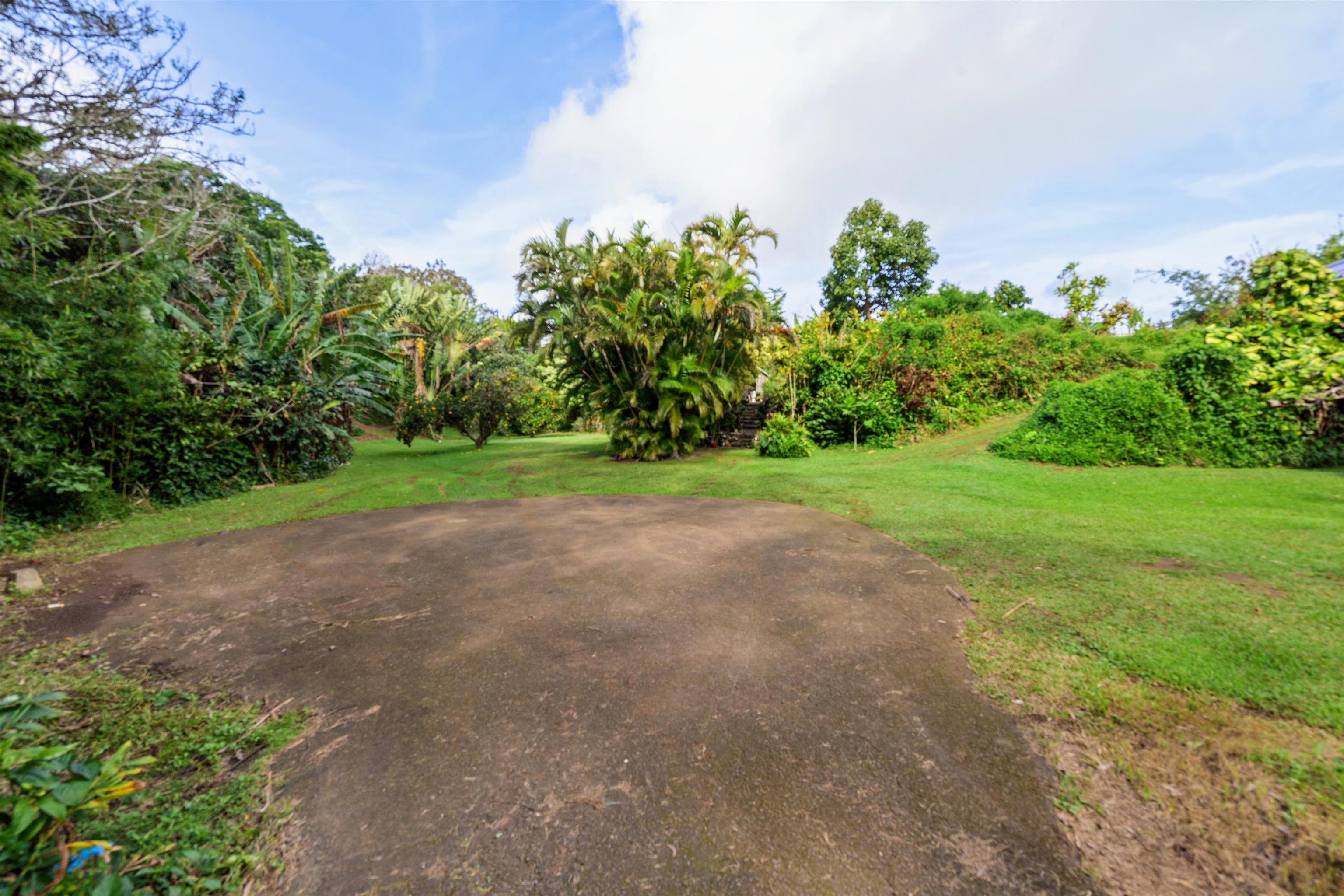 1870 West Kuiaha Road Haiku, HI 96708 - Photo 22 of 27 a view of a yard with a tree