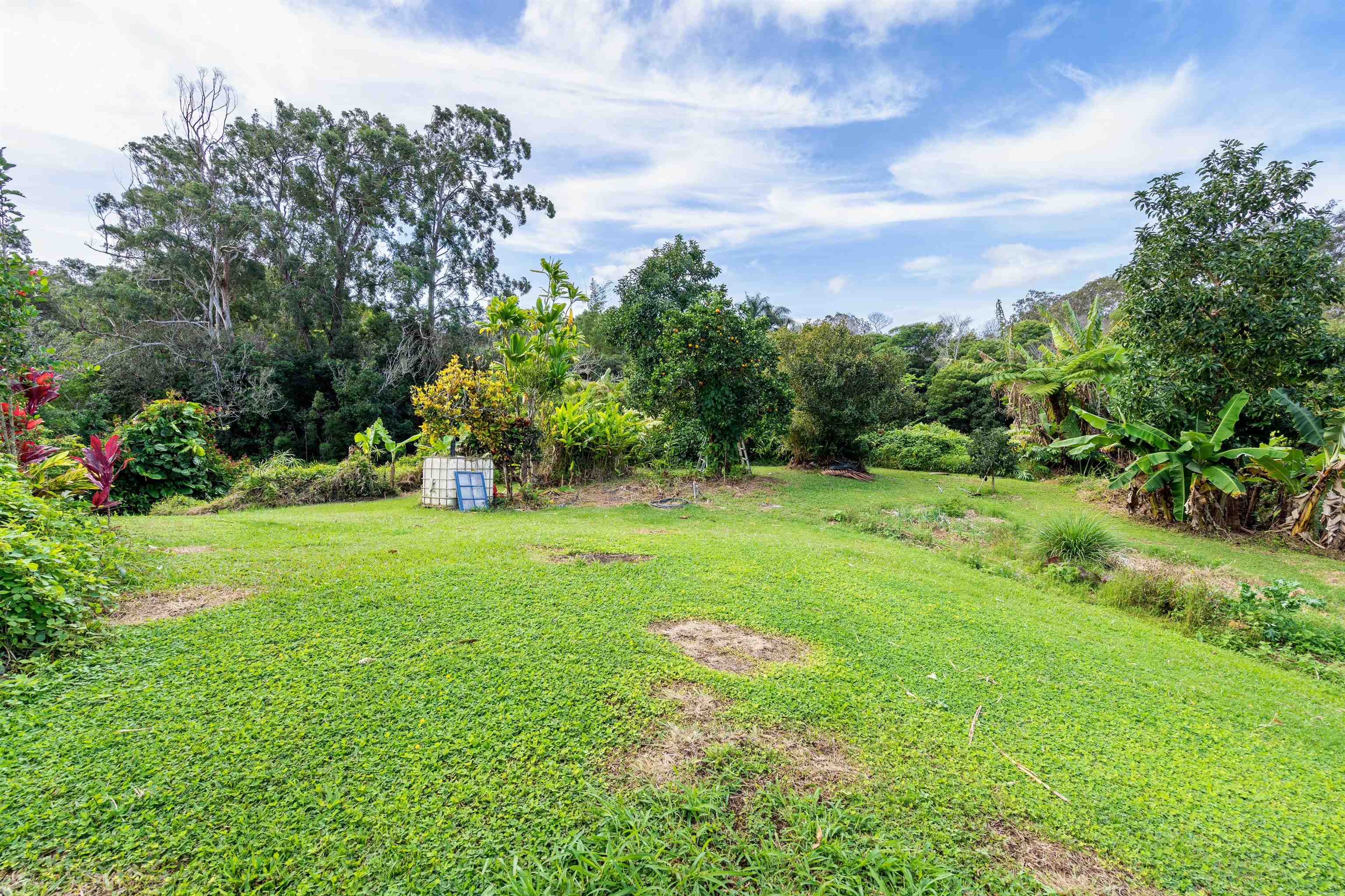1870 West Kuiaha Road Haiku, HI 96708 - Photo 23 of 27 a view of a garden with a tree