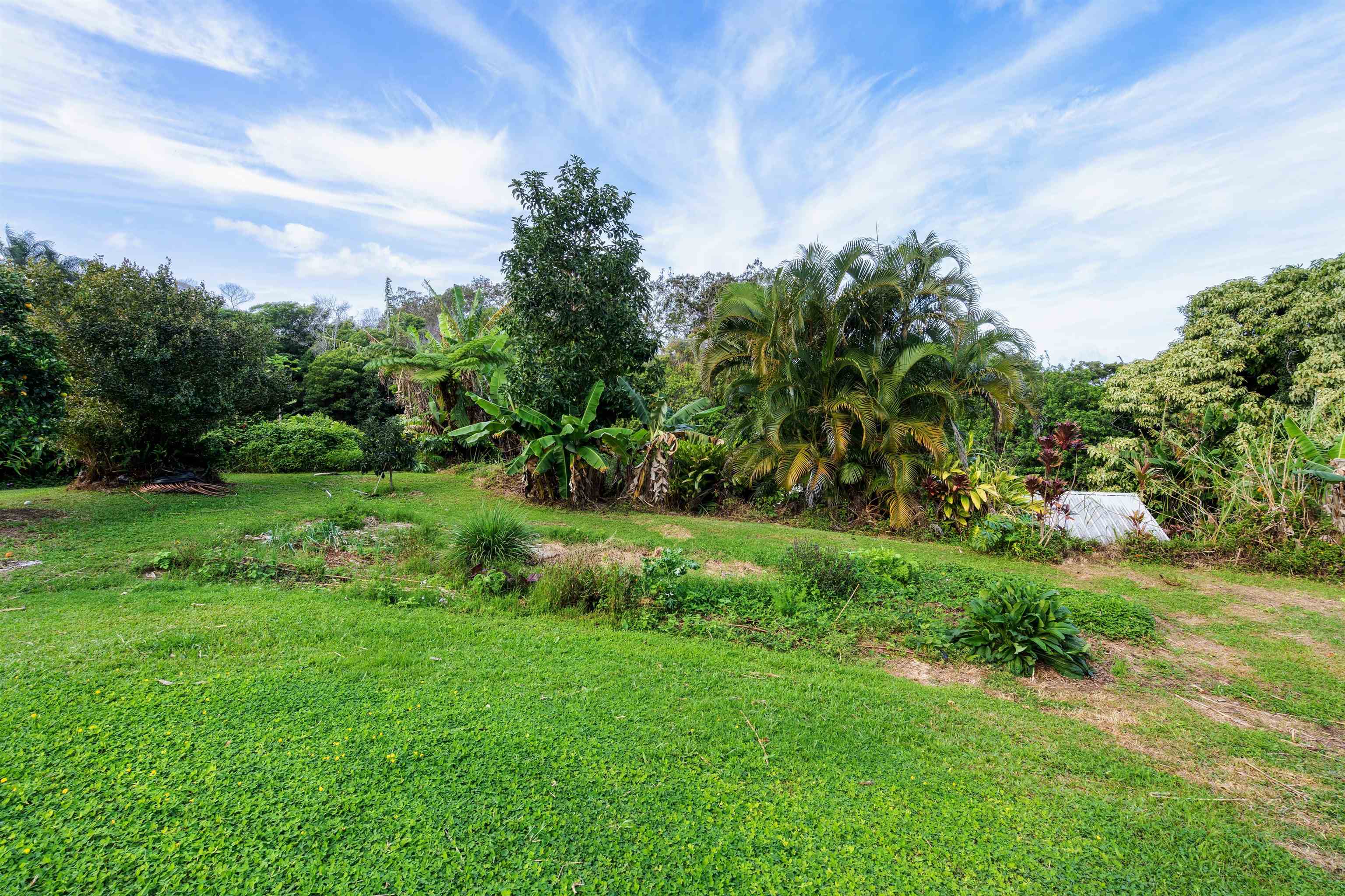 1870 West Kuiaha Road Haiku, HI 96708 - Photo 24 of 27 a view of a garden