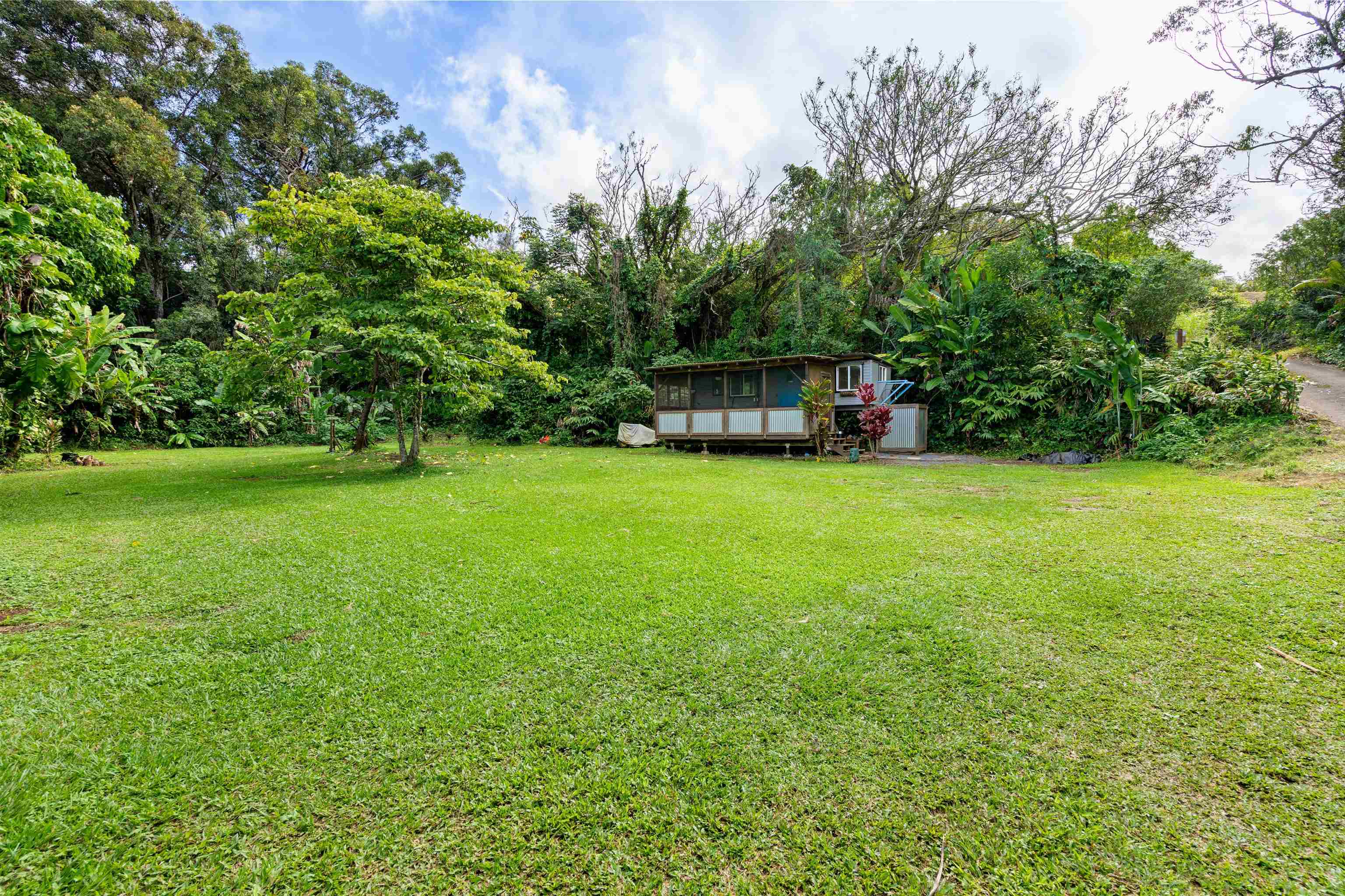 1870 West Kuiaha Road Haiku, HI 96708 - Photo 25 of 27 a view of a tree in a yard