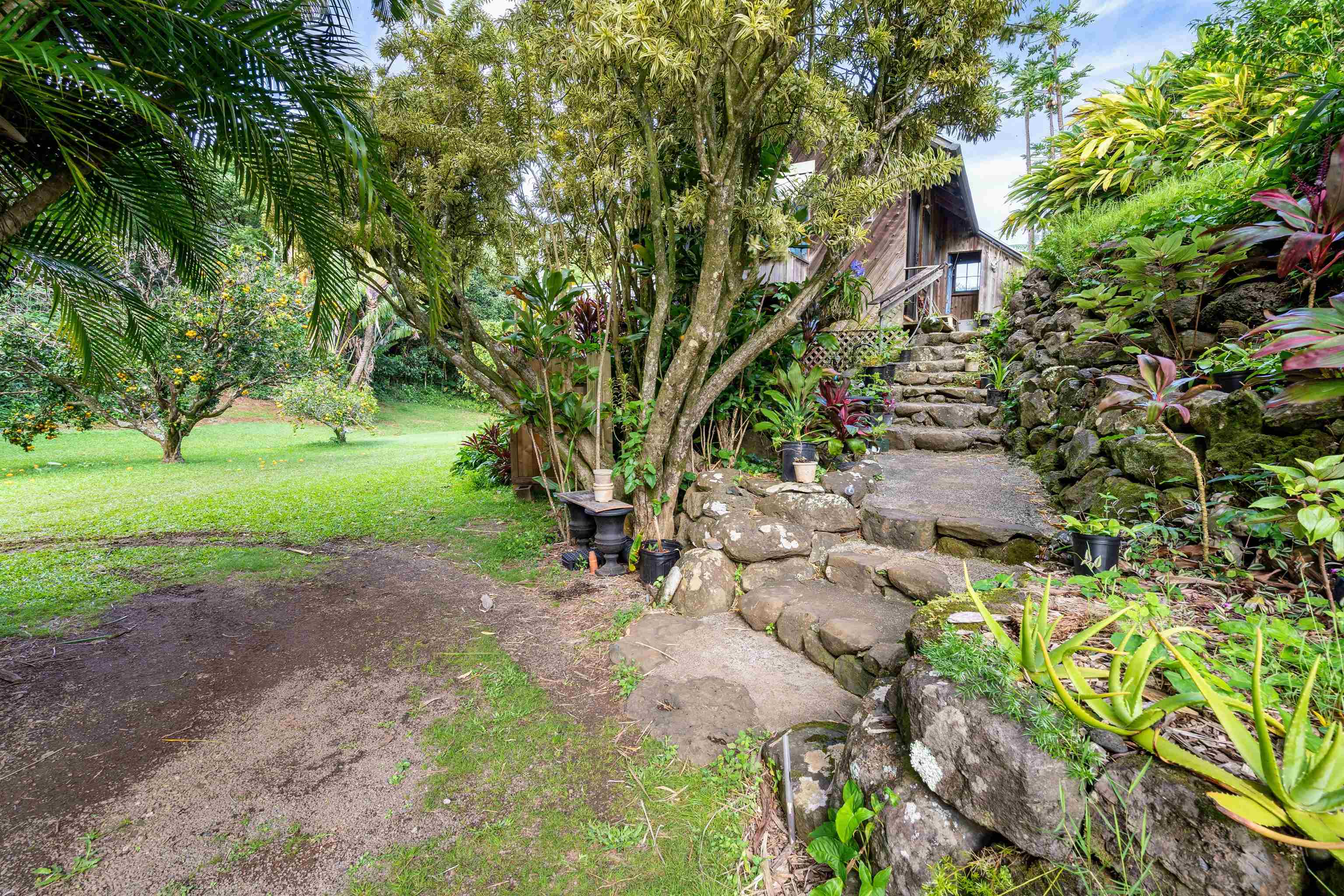 1870 West Kuiaha Road Haiku, HI 96708 - Photo 27 of 27 a view of a yard with plants and trees