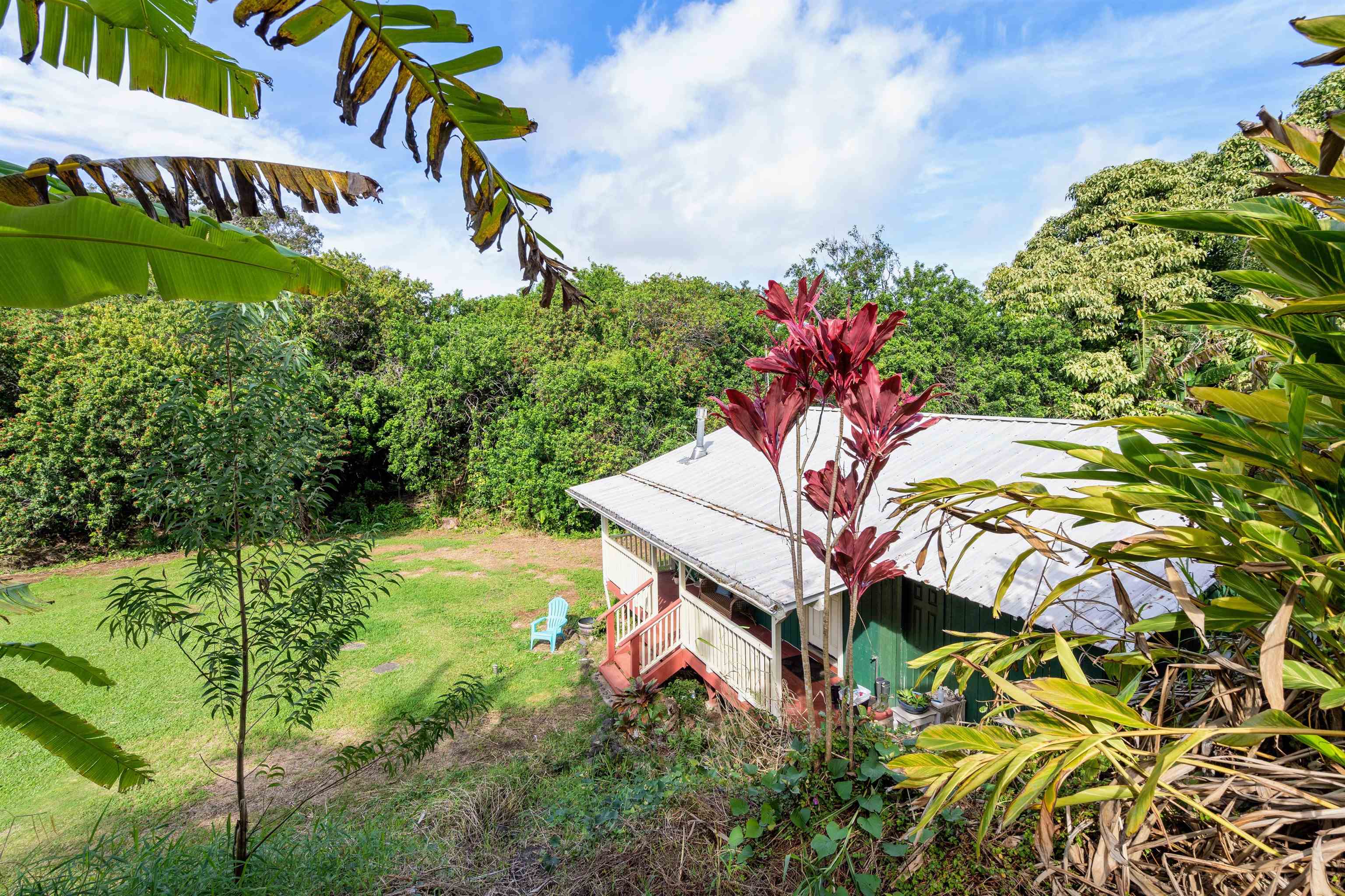 1870 West Kuiaha Road Haiku, HI 96708 - Photo 6 of 27 a view of a flower in a garden