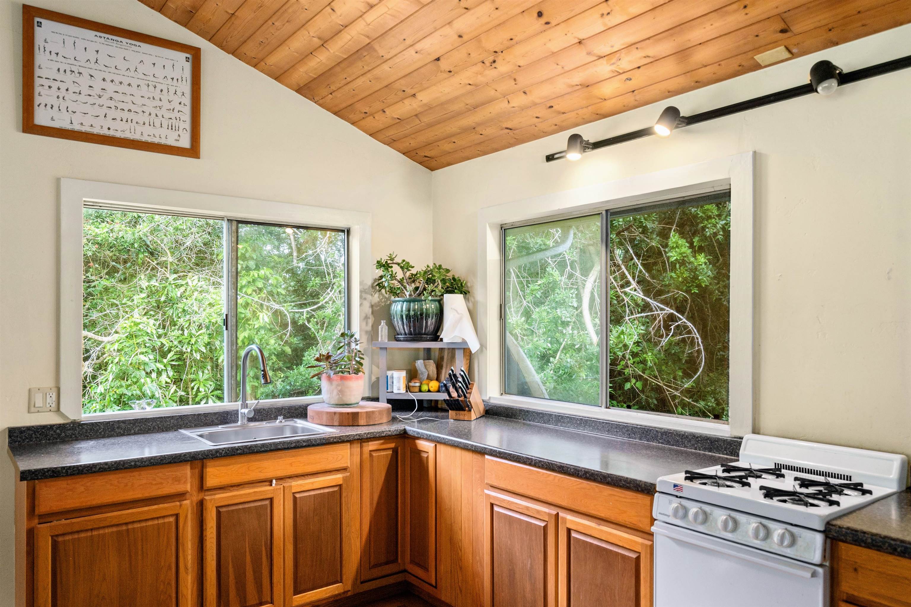 1870 West Kuiaha Road Haiku, HI 96708 - Photo 10 of 27 a kitchen with stainless steel appliances a stove sink and cabinets