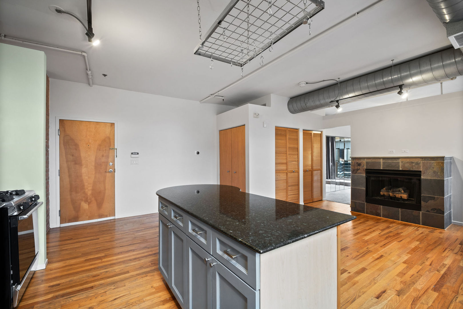420 South Clinton Street, Unit 101 Chicago, IL 60607 - Photo 10 of 21