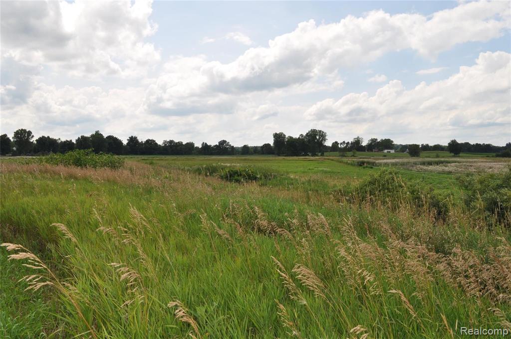 0 West Coon Lake Road Webberville, MI 48892 - Photo 28 of 38