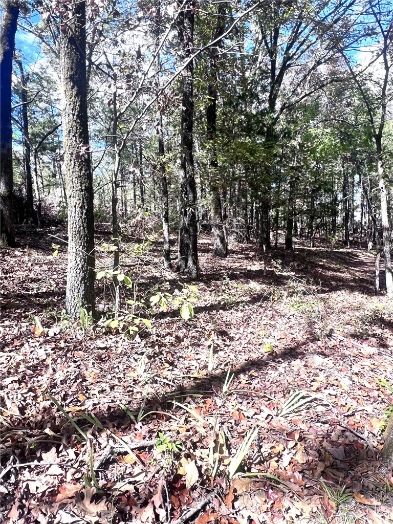 5555 Highway 282 Rudy, AR 72952 - Photo 26 of 26 Land