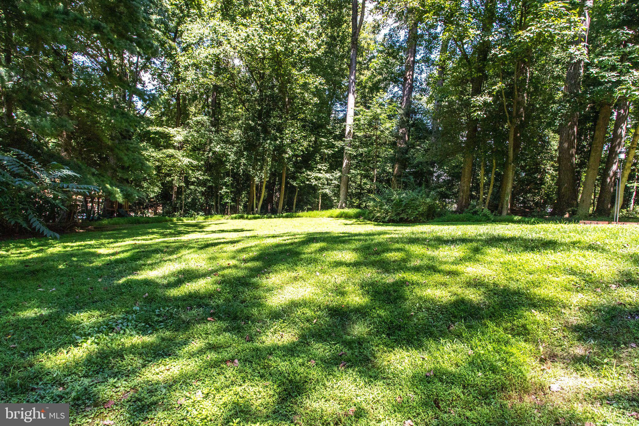8500 Brook Road McLean, VA 22102 - Photo 50 of 52 a backyard of a house with lots of green space