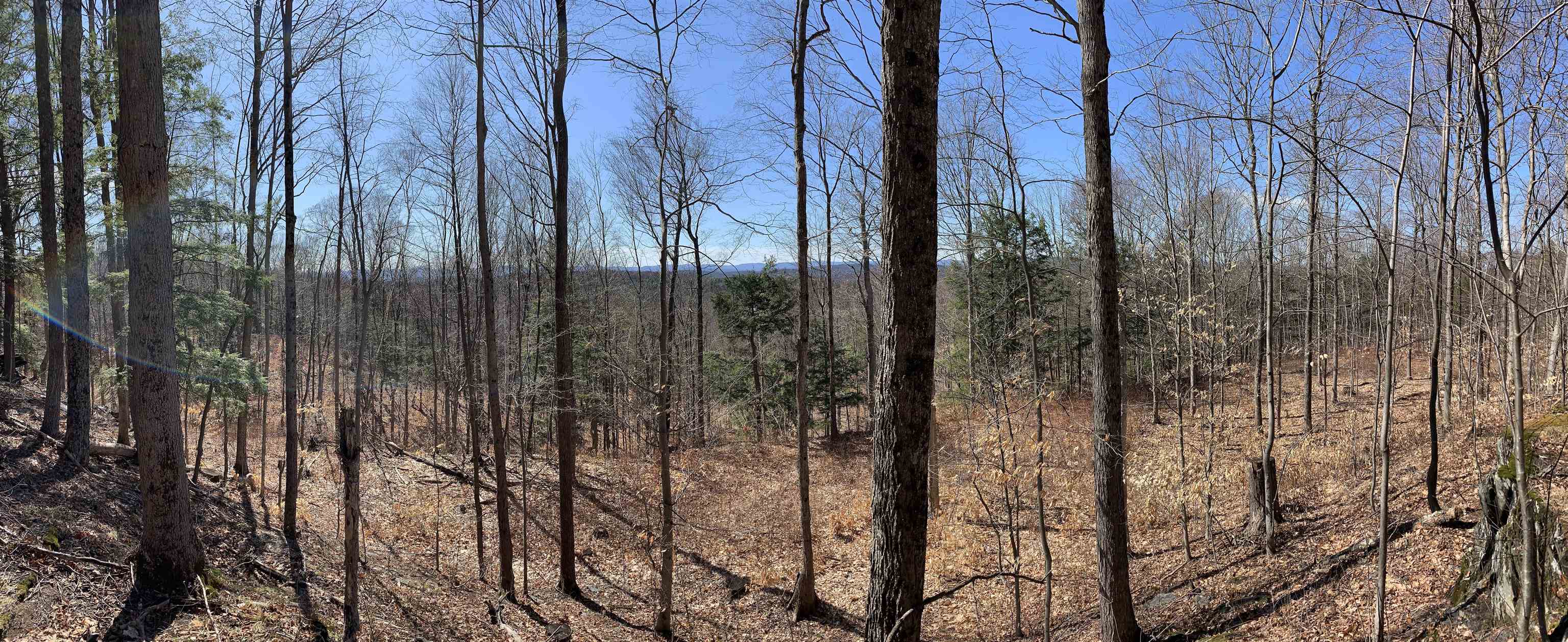 1235 Camp Road, Unit 4 Hubbardton, VT 05733 - Photo 4 of 53