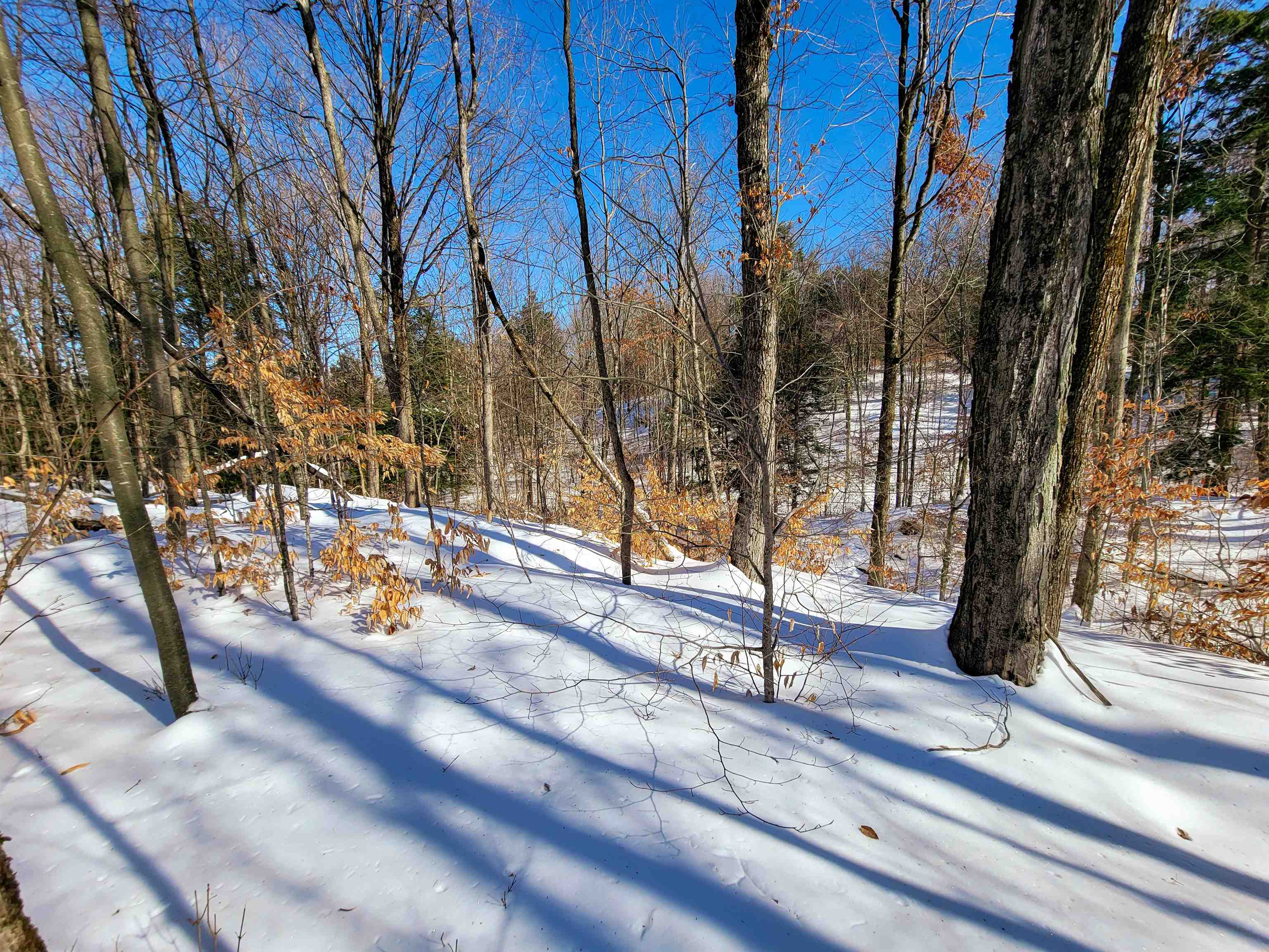 1235 Camp Road, Unit 4 Hubbardton, VT 05733 - Photo 41 of 53