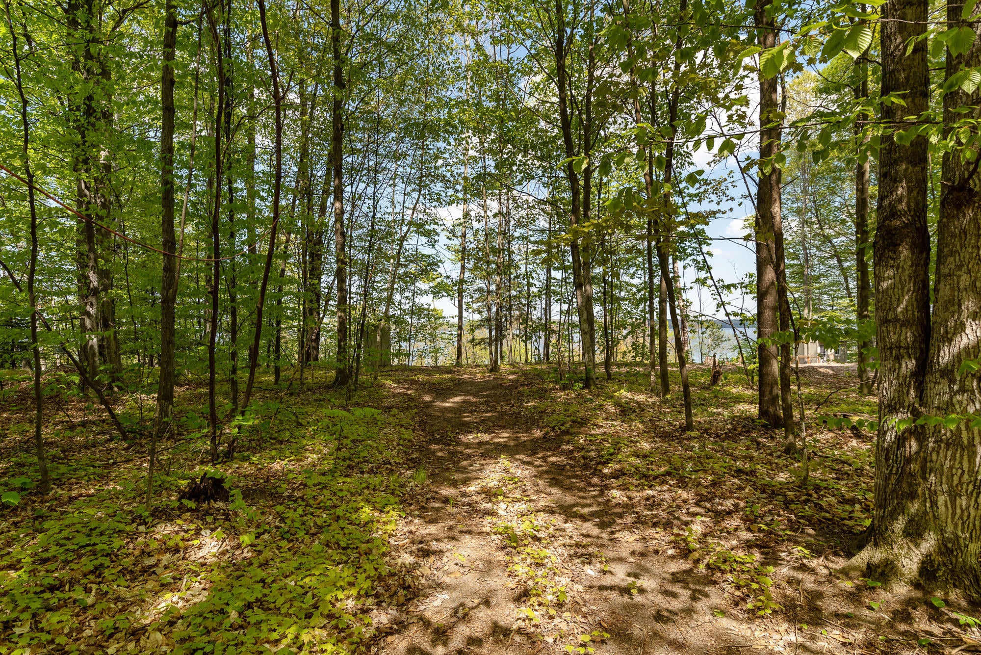 3226 Hidden Ridge Road Alanson, MI 49706 - Photo 2 of 23 Gallery Image 2