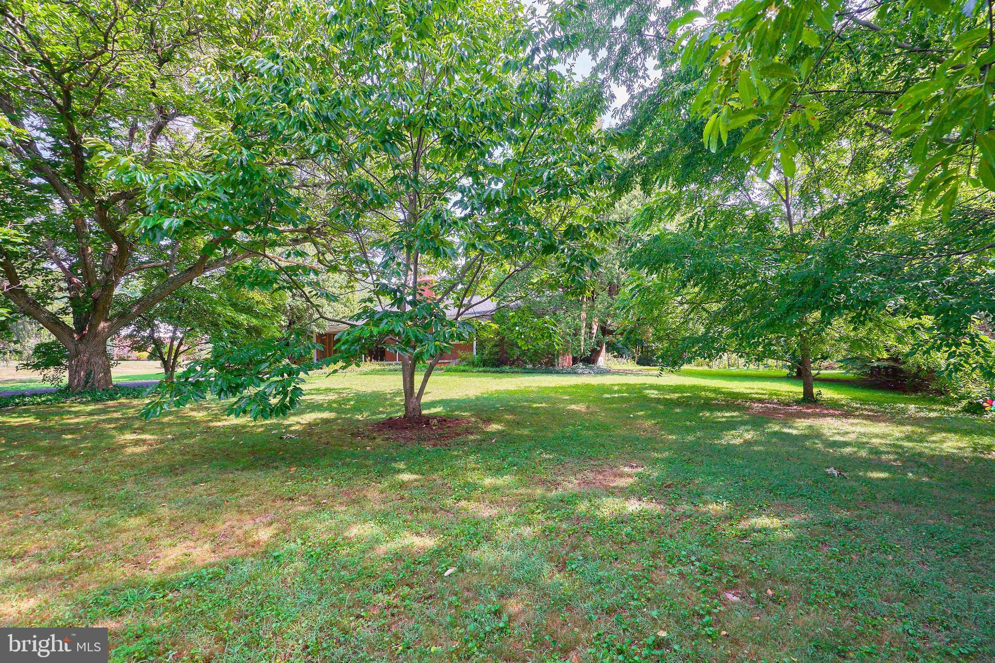 15901 Barnesville Road Boyds, MD 20841 - Photo 38 of 47 a view of a tree in a yard