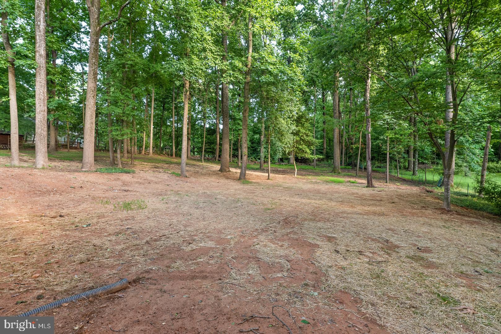 11707 Vale Road Oakton, VA 22124 - Photo 76 of 79 Gallery Image 76