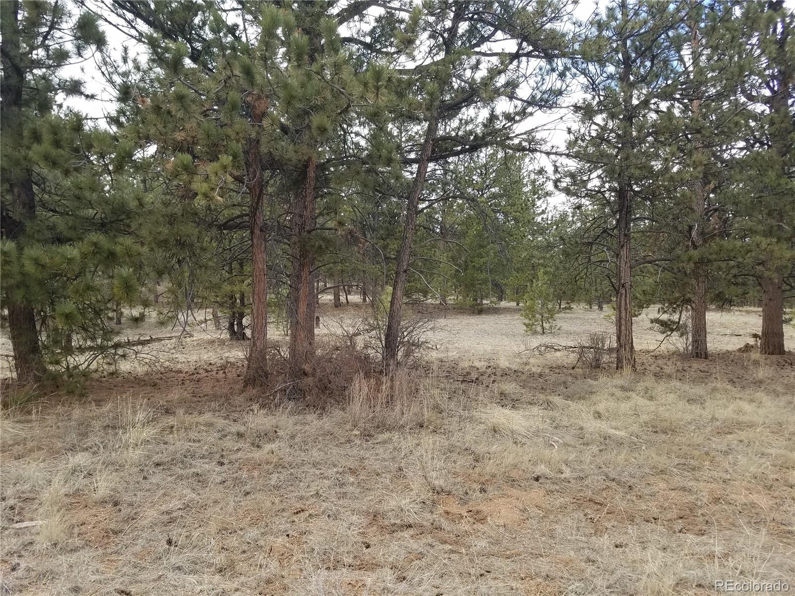 Haystack Road Hartsel, CO 80449 - Photo 1 of 3 Gallery Image 1