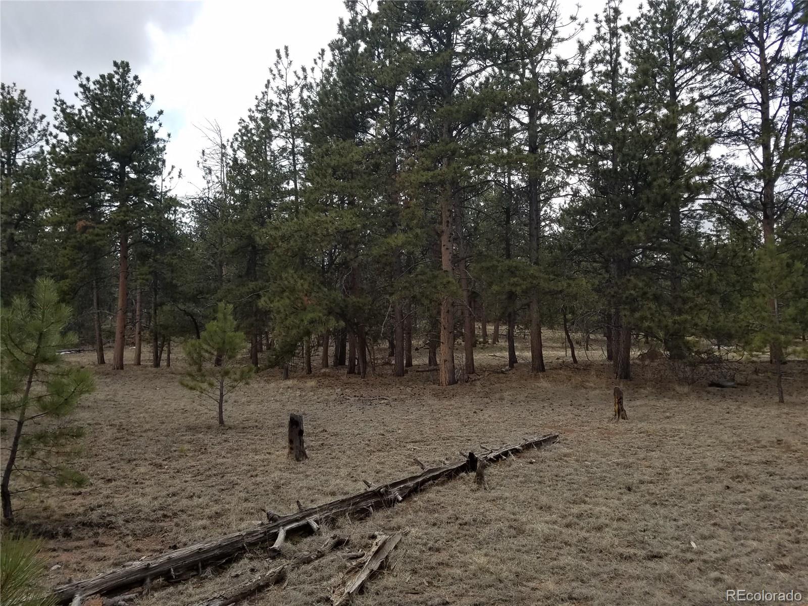 Haystack Road Hartsel, CO 80449 - Photo 3 of 3 Gallery Image 3