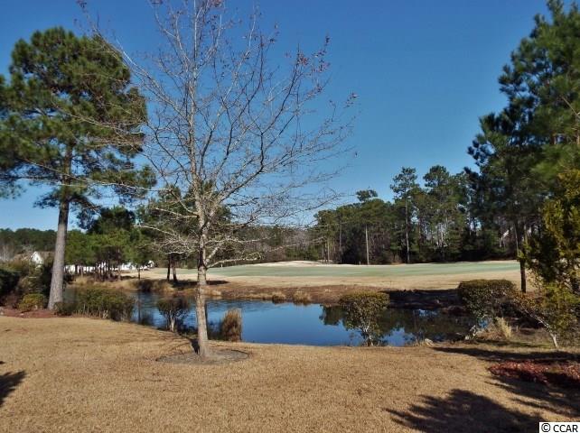 842 Castlebridge Drive Murrells Inlet, SC 29576 - Photo 23 of 25 Gallery Image 23