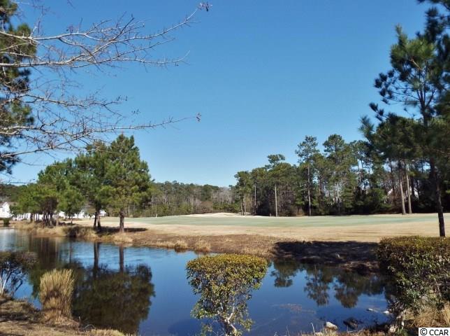 842 Castlebridge Drive Murrells Inlet, SC 29576 - Photo 24 of 25 Gallery Image 24