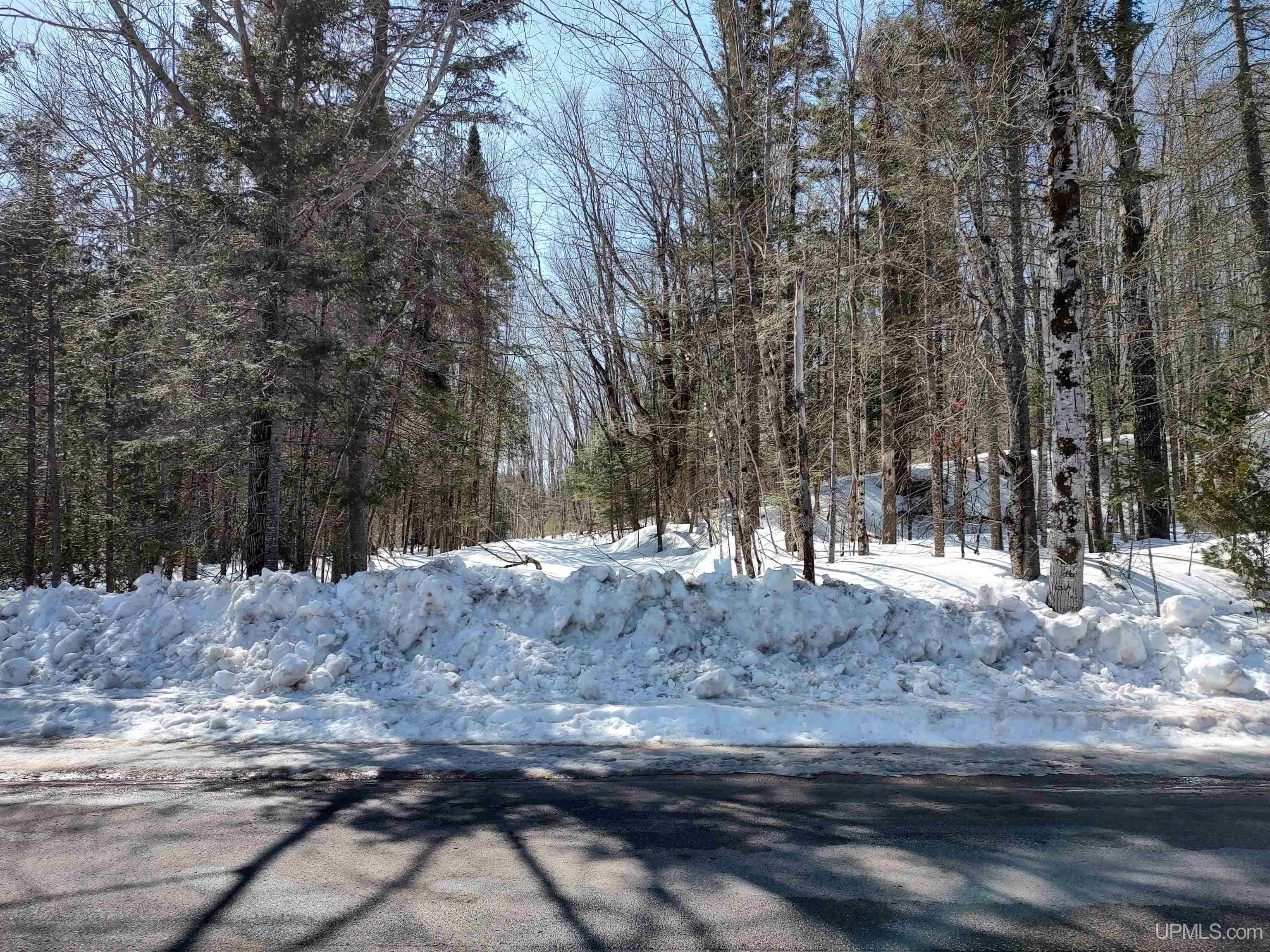 40-acres Little Lake Road Gwinn, MI 49841 - Photo 5 of 25